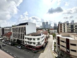 Rangoon Road (D8), Apartment #480796621